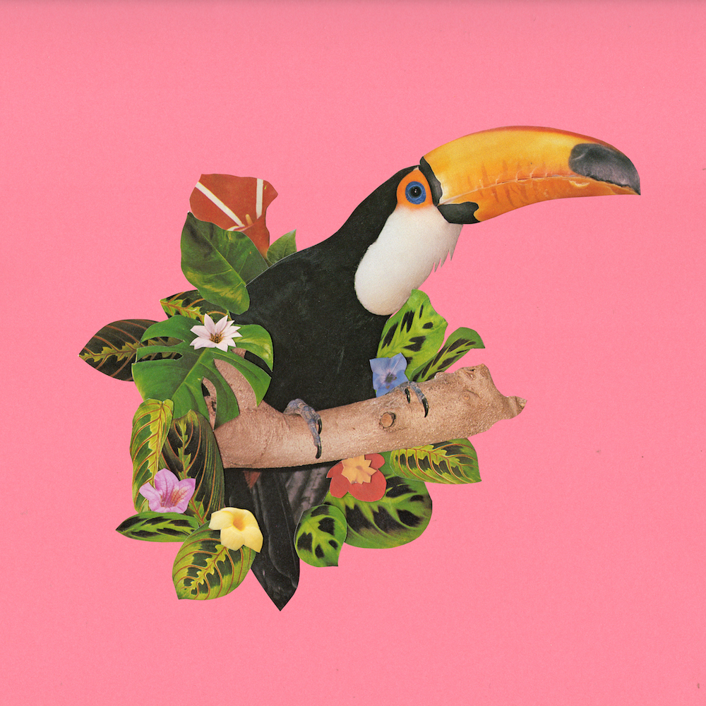 "Toucan." Collage on paper, 12 x 12 inches.